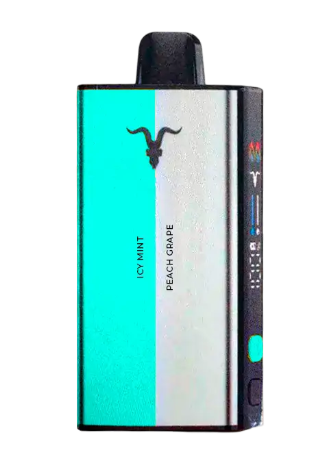 IGNITE VMIX 40K ICY MINT + PEACH GRAPE