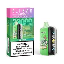 ELFBAR GH 23000 ICE MINT